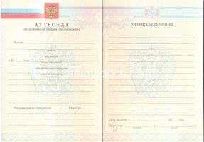 Аттестат за 9 класс 2007-2010 в Волгодонске